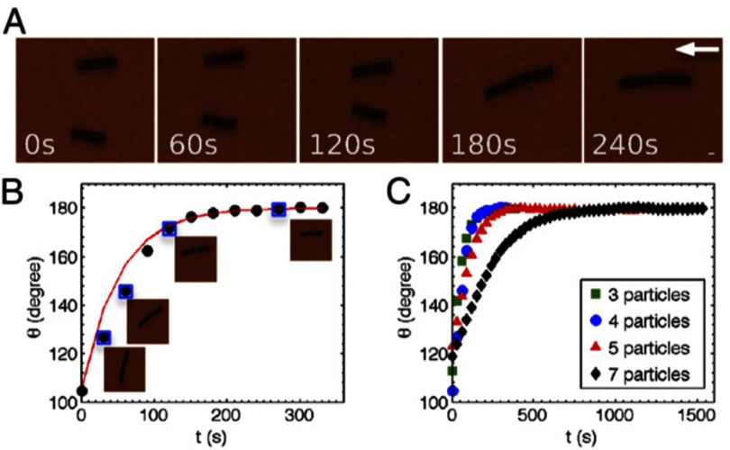 Figure 34.