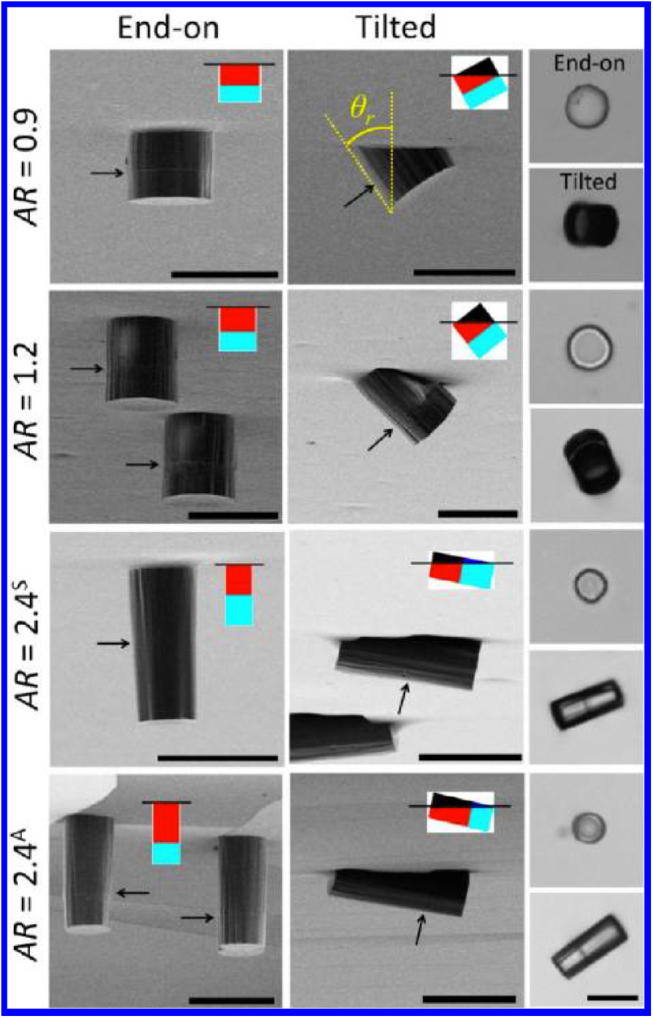 Figure 19.