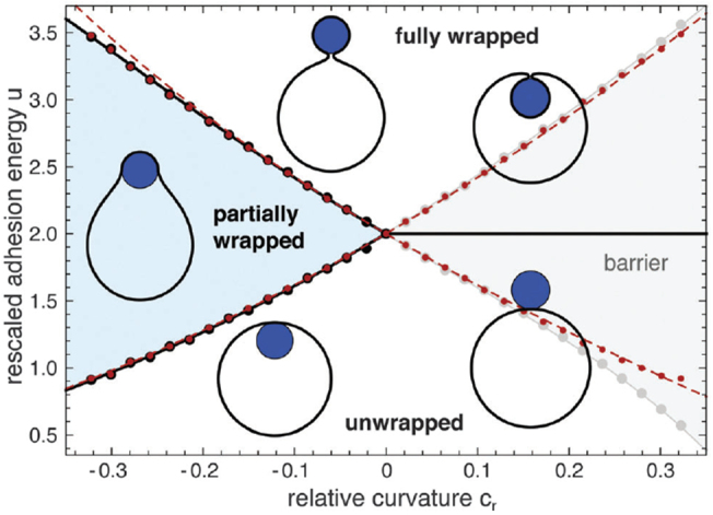 Figure 39.