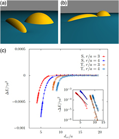 Figure 29.