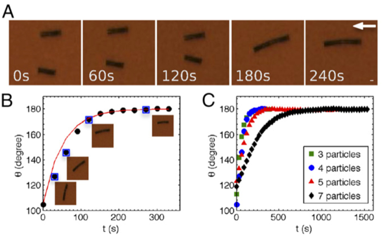 Figure 34.