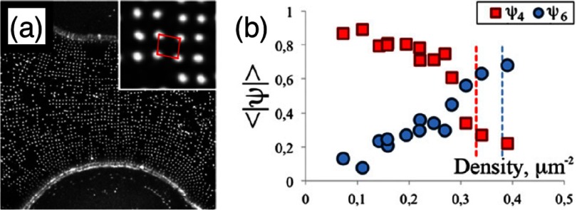 Figure 33.