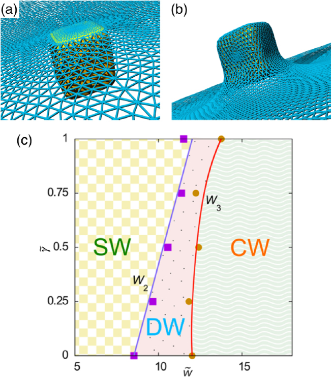 Figure 37.