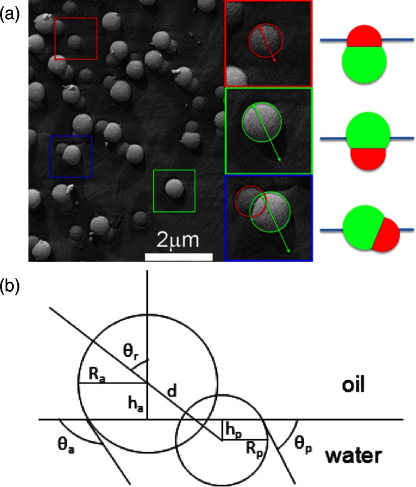 Figure 16.