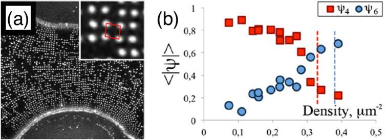 Figure 33.