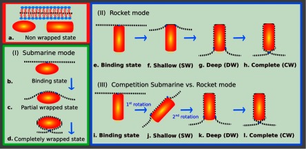 Figure 40.