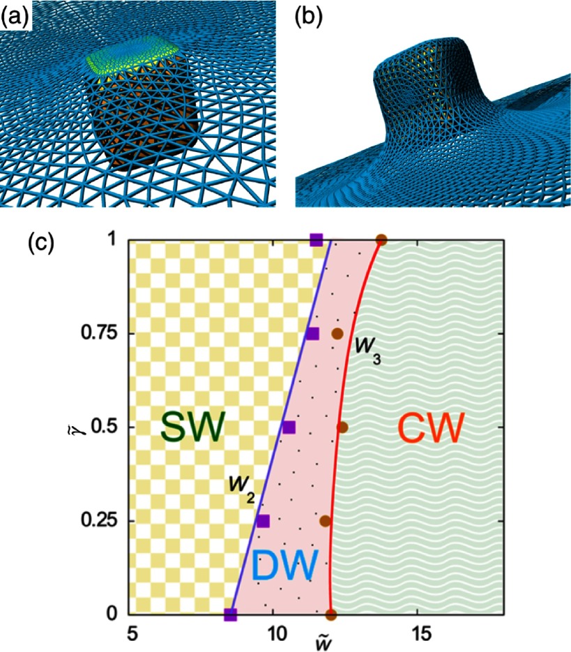 Figure 37.