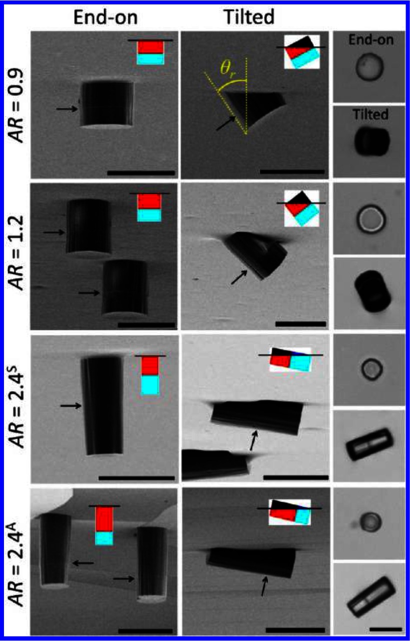 Figure 19.