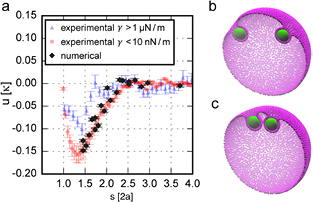 Figure 42.