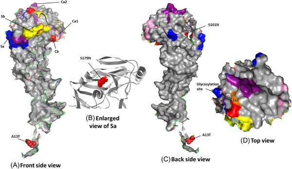 Figure 2