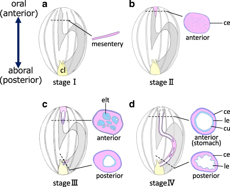 Fig. 9