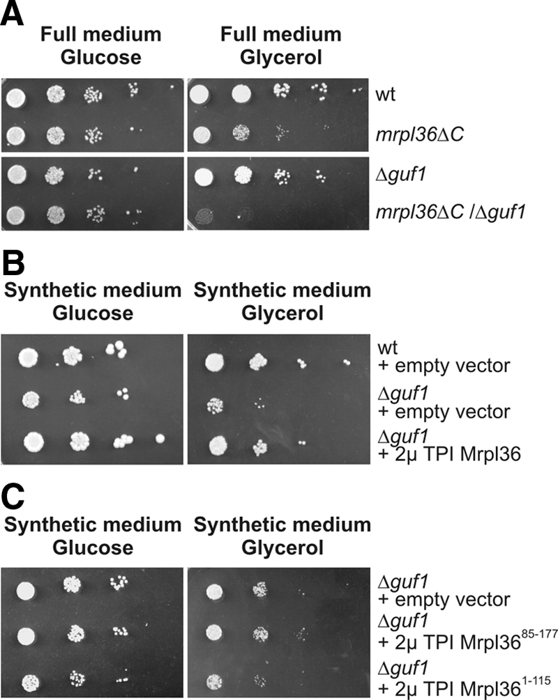 Figure 6.