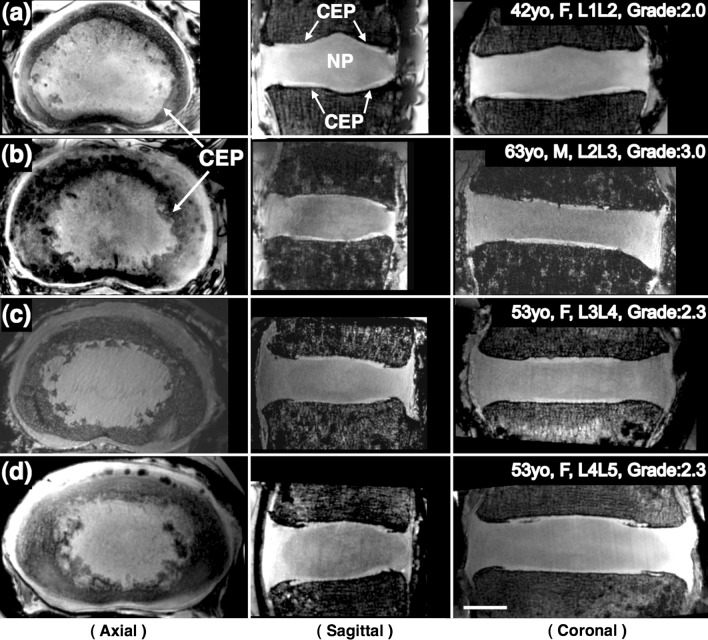 Fig. 3