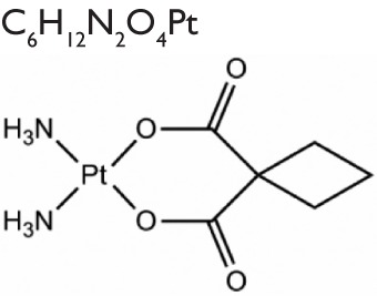graphic file with name ijn-8-3309Fig5.jpg