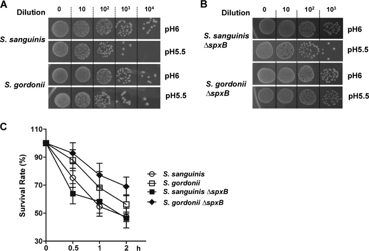 FIG 4