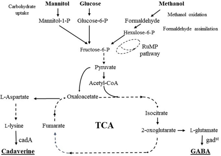 FIGURE 1