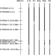 F<sc>igure</sc> 1.—
