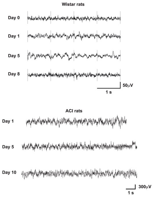 Fig. 11