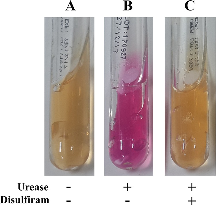 FIG 3