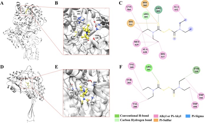 FIG 2