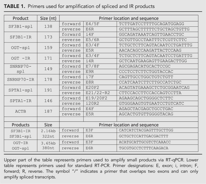 graphic file with name 996tb01.jpg