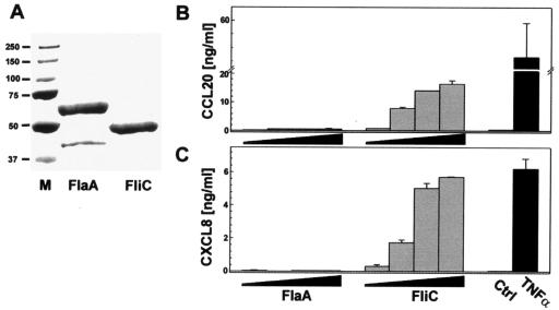 FIG. 6.