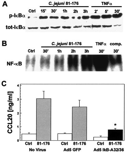 FIG. 4.