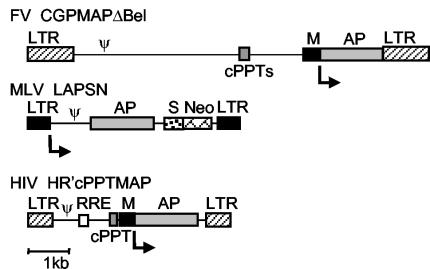 FIG. 1.