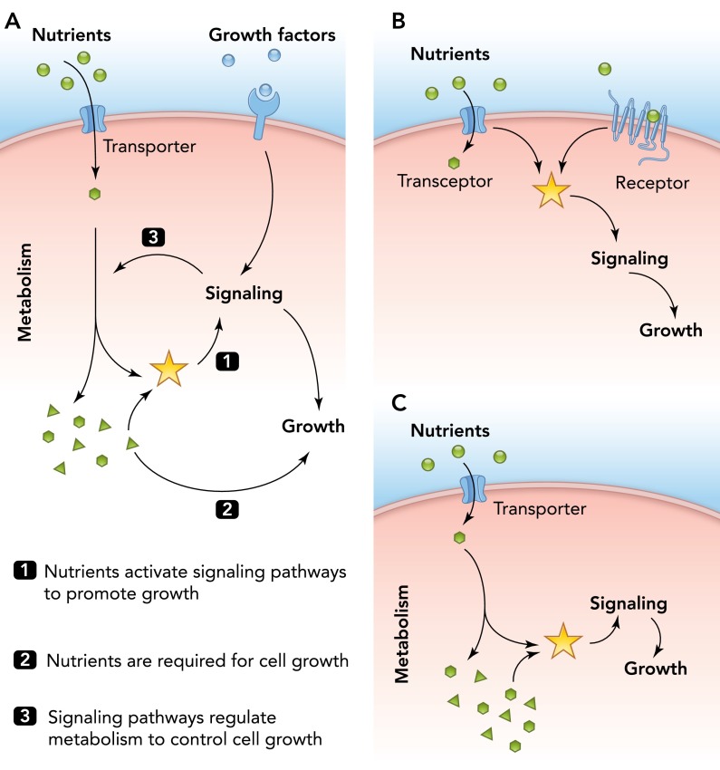 FIGURE 1.