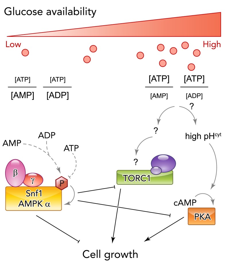 FIGURE 3.