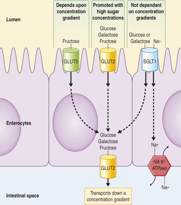 Figure 1.