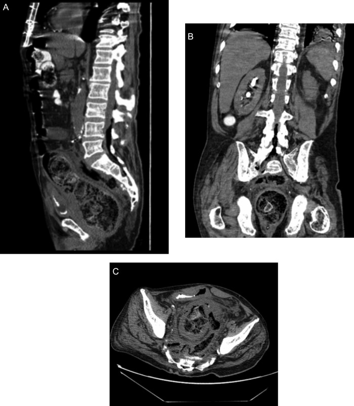 Figure 1