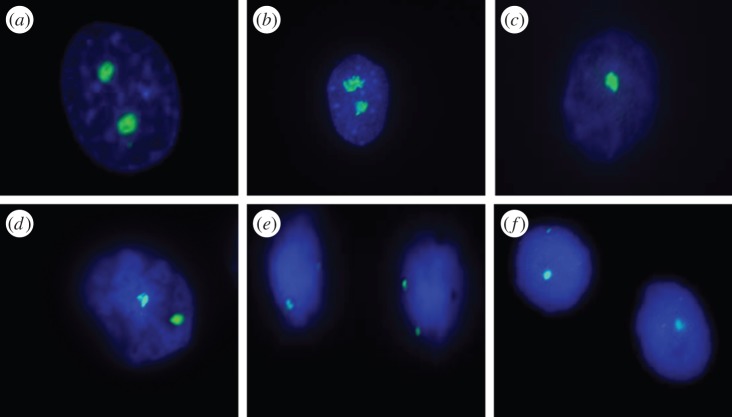 Figure 2.