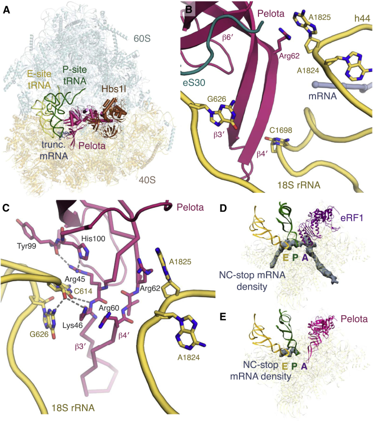 Figure 3