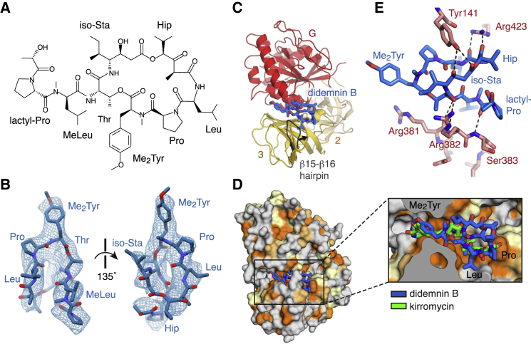 Figure 5