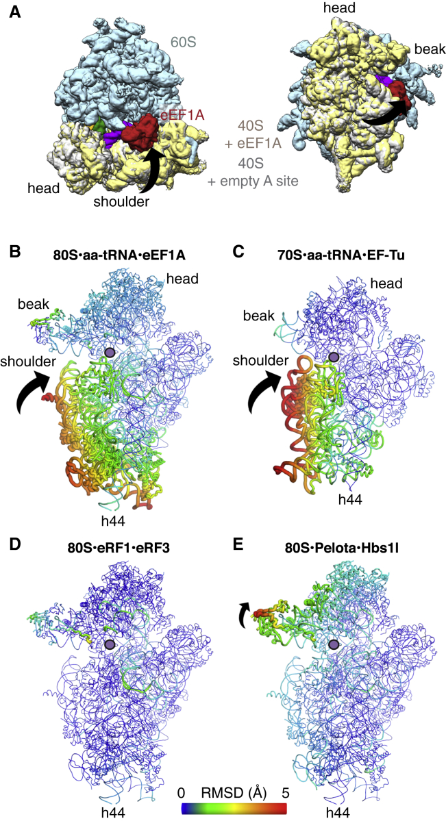 Figure 4