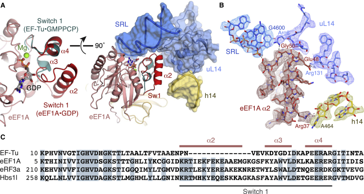 Figure 6