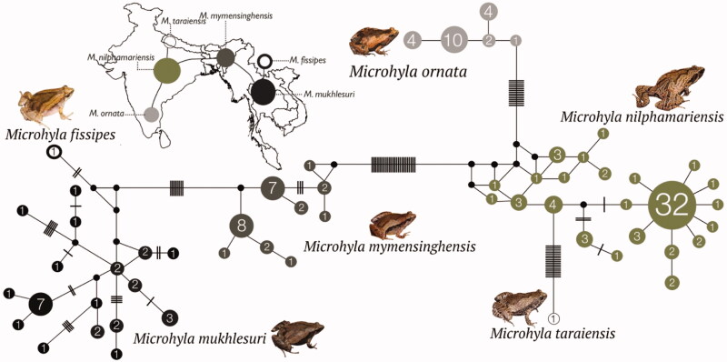 Figure 2.