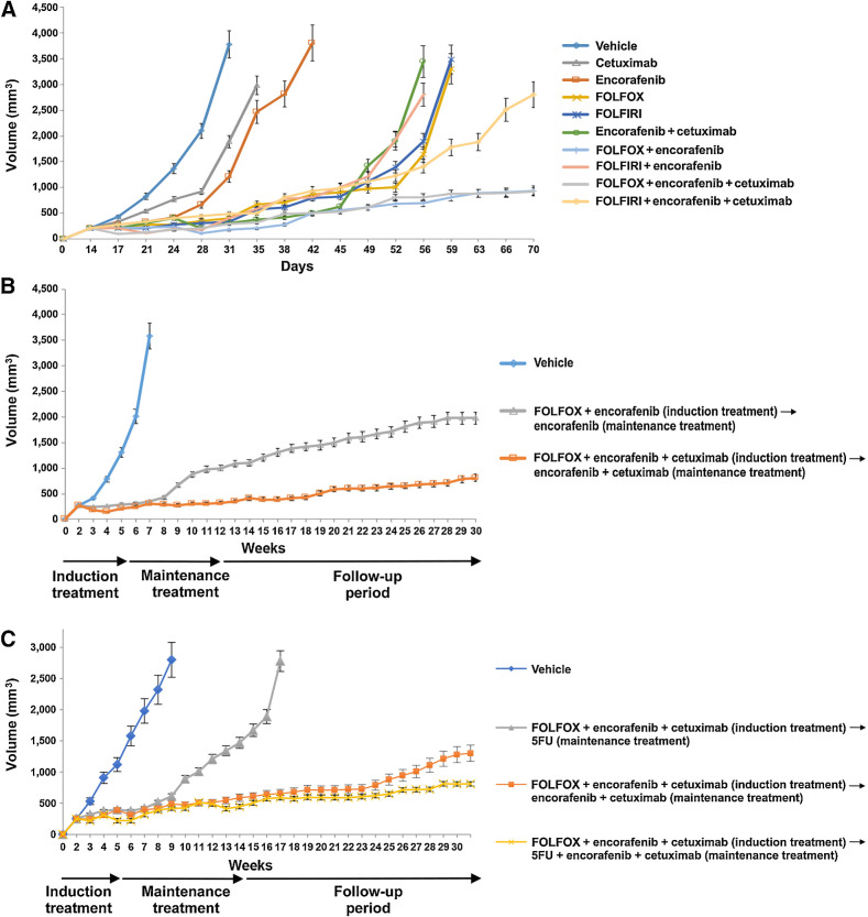 Figure 4. Antitumor efficacy with different treatment combination and sequence in BRAFV600E HT29 tumor xenograft. HT29 cells were injected subcutaneously into the left flanks of nude mice and treated with different combination regimen and in different sequence. A, After 2 weeks (average tumor size 200–400 mm3) mice were treated for 6 weeks with: vehicle, encorafenib, cetuximab, alone and in the combination, FOLFOX or FOLFIRI alone, with encorafenib and in combination with E+C. B, After 2 weeks of s.c. injection, mice were treated with vehicle, FOLFOX + encorafenib (10 mice) and FOLFOX + E+C (10 mice). At the end of 3 weeks of therapy, defined as induction treatment, treated mice were randomized into encorafenib alone or E+C, respectively (maintenance treatment). C, After 2 weeks of s.c. injection, mice were treated with vehicle (10 mice), FOLFOX + E+C (30 mice) for 3 weeks, defined as induction treatment. Subsequently treated mice were randomized into 5-FU alone (10 mice), E+C (10 mice), and 5-FU + E+C (10 mice; maintenance treatment).