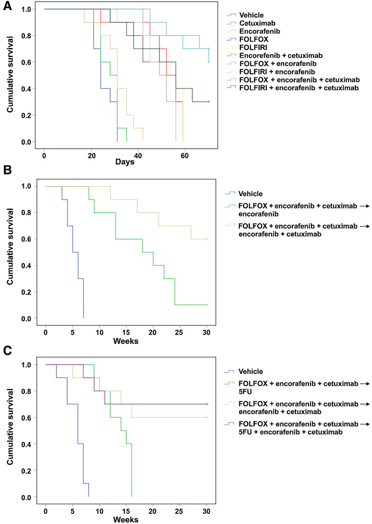 Figure 5. Effects of different treatment combinations and sequences on the survival in BRAFV600E HT29 tumor xenograft. A, Mice were monitored for survival until 70 days following tumor cell injection. Differences in animal survival among groups were evaluated by use of the Mantel–Cox log-rank test. B–C, Mice were monitored for survival until 30 weeks following tumor cell injection. Differences in animal survival among groups were evaluated by use of the Mantel–Cox log-rank test.