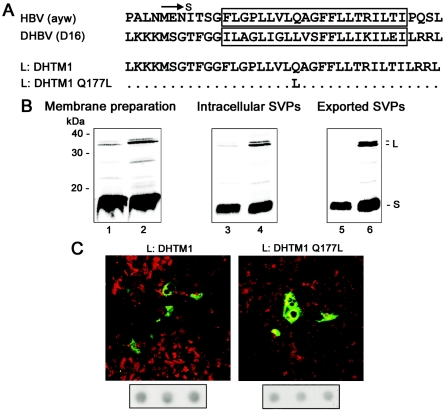 FIG. 9.