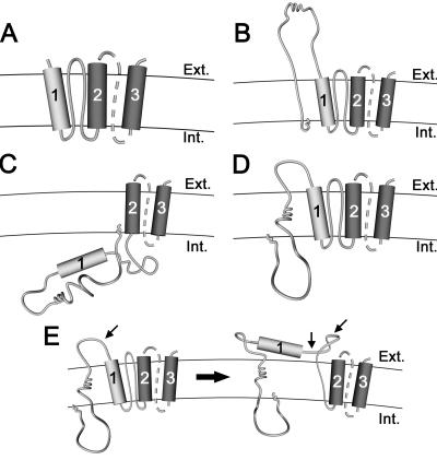 FIG. 1.