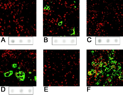 FIG. 4.