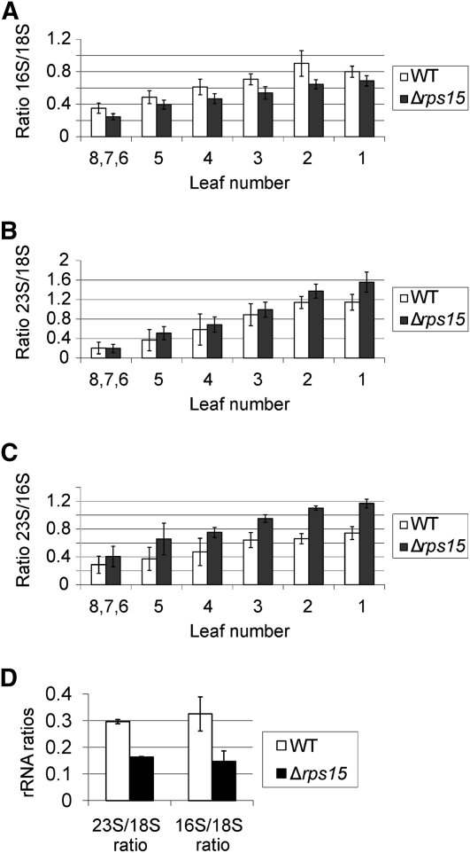 Figure 9.