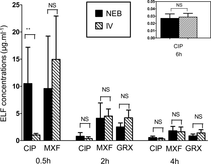 FIG 2