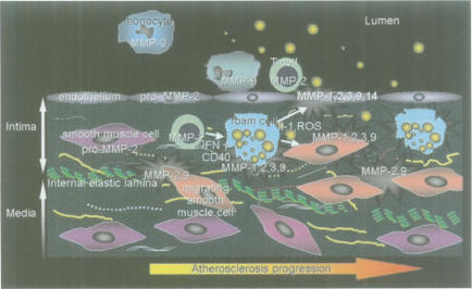 Fig. 9