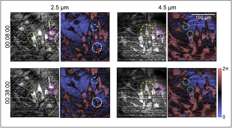 Fig. 4.