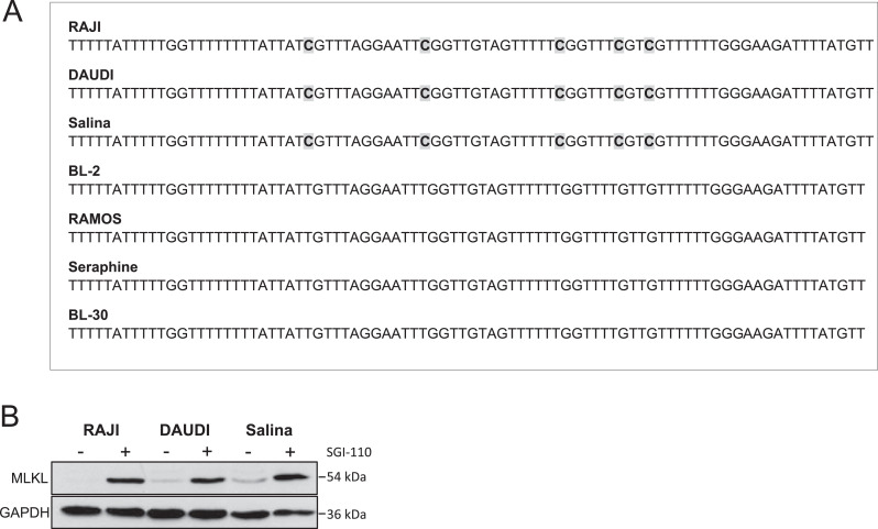 Fig. 6: