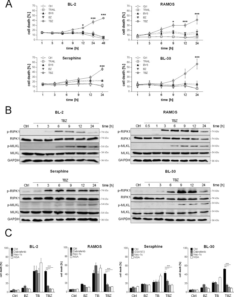 Fig. 2: