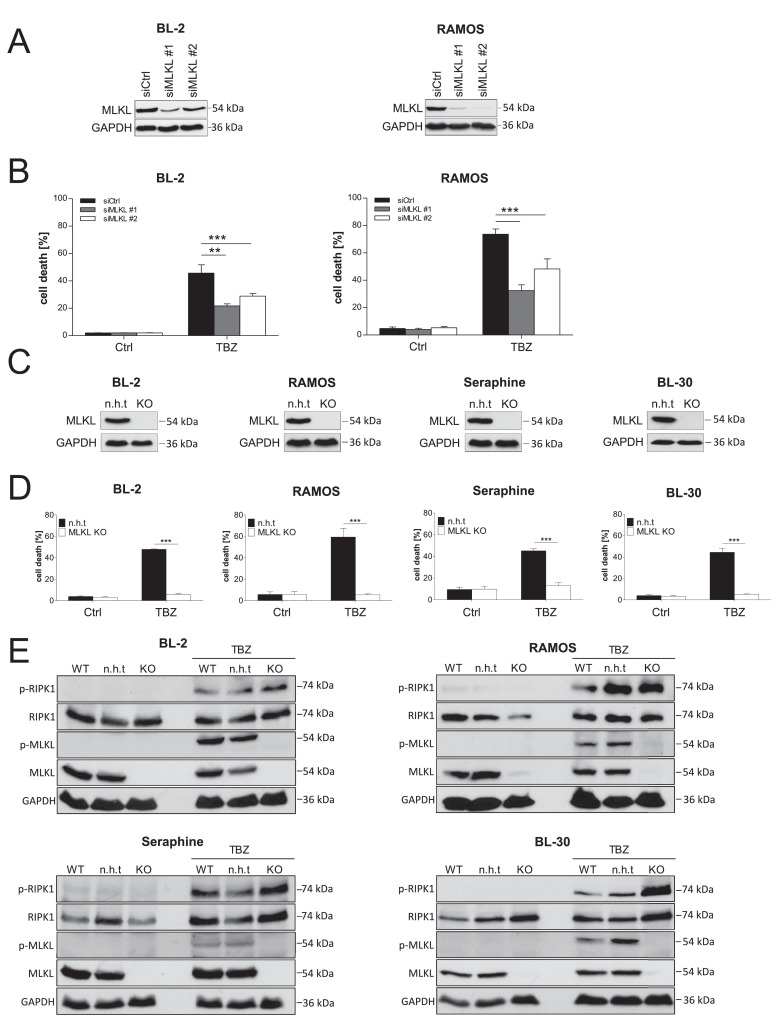 Fig. 4: